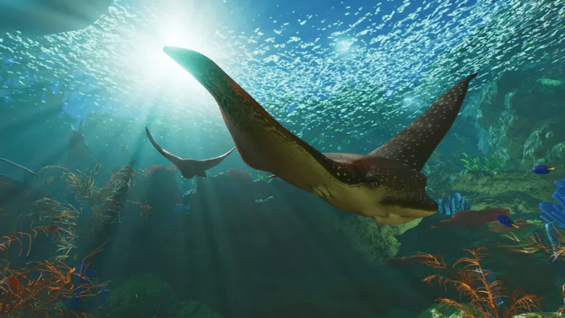 遊びの息抜きになる一方で底の浅さも感じる野生動物保護区