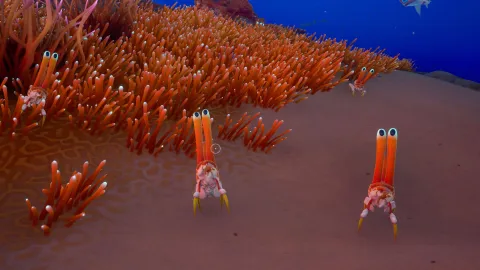 『Subnautica 2』で敵を倒せないのは「当たり前」？ 開発チームが語る非殺生主義のゲームデザインとプレイヤーの反応を深掘り！