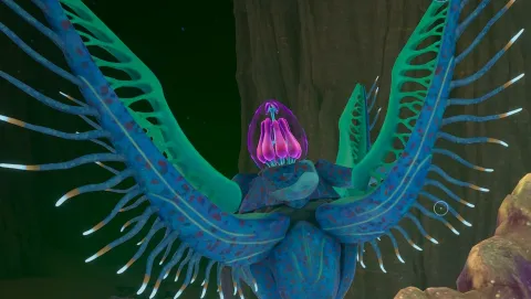 『Subnautica 2』エイリアン遺跡のエンジェルコームをクリアする方法！アップグレードされたツールと隠された幼生コームの発見が攻略の鍵