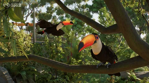 『Planet Zoo 2』が2026年10月13日に発売決定！待望の水族館と鳥類飼育場が追加され、動物たちのリアルな表現と環境保護への取り組みも進化
