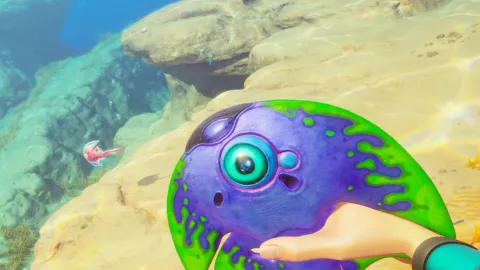 『Subnautica 2』でサバイバルを生き抜くための食料確保ガイド！ 序盤の消化問題を解決して多彩なレシピを駆使しよう