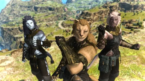 『ファイナルファンタジーXIV』で物議を醸したプレイヤー追跡プラグイン「Memoria」が配信停止、プライバシー侵害の懸念にユーザーから批判殺到