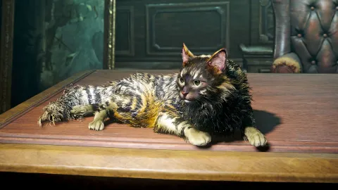 『Assassin's Creed Black Flag Resynced』にジャックドー号を彩るキュートなペットが登場！猫やサルを船に乗せる方法と全8種類の仲間たちを徹底解説！