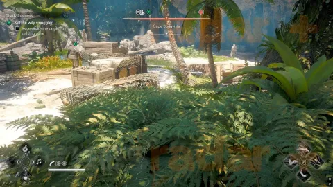 『Black Flag Resynced』の「ストーキングゾーン」とは？アサシン契約を効率的にクリアするための必須知識を徹底解説！