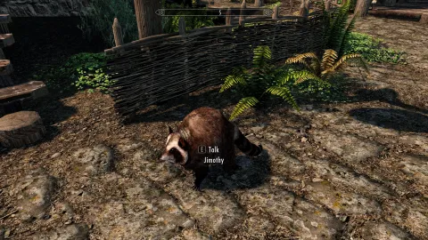 シアトルで人気爆発中のアライグマ「Jimothy（ジモシー）」が『The Elder Scrolls 5: Skyrim』と『Stardew Valley』のMODに登場！ユニークな姿がゲーム内でも楽しめる！