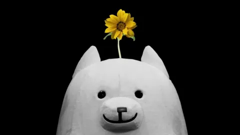 『DELTARUNE』クリエイターToby Fox氏が今後の展開について言及、チャプター6以降は「おかしな冒険」が終わり物語の主要な謎に迫ることを示唆