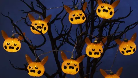 『ポケモン』2026年ハロウィングッズ、一部商品が早くも品切れ