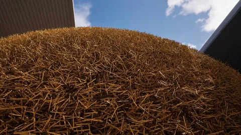『Find a Needle in a Haystack』は500万個の干し草から1本の針を探すゲーム