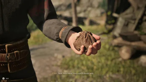 『The Blood of Dawnwalker』母親の薬作り攻略