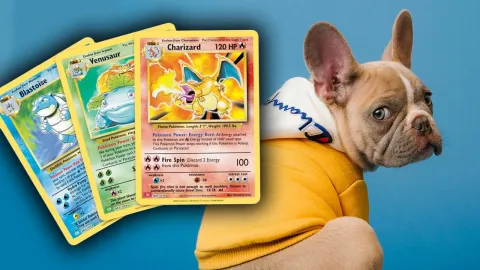 『ポケットモンスター』カードをめぐり犬との交換提案に批判