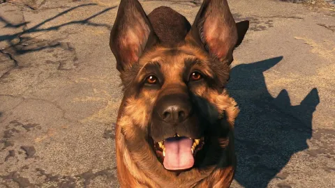 Bruce Nesmith氏、米国外を舞台にした『Fallout 5』には大きな可能性があると語る