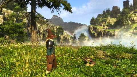 『Enshrouded』のpenny bunはHarvest Homesteadで20個近く採集できます